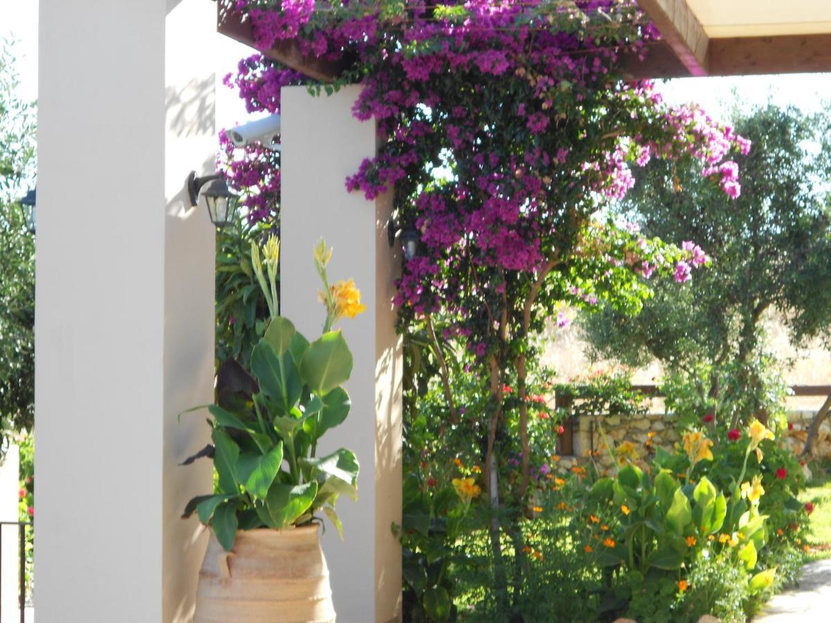 Livadaki Village Hotel Skala  Kültér fotó