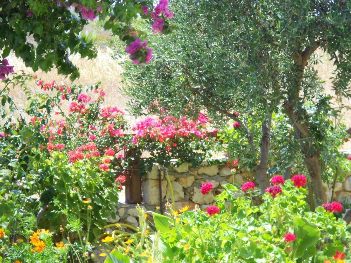 Livadaki Village Hotel Skala  Kültér fotó