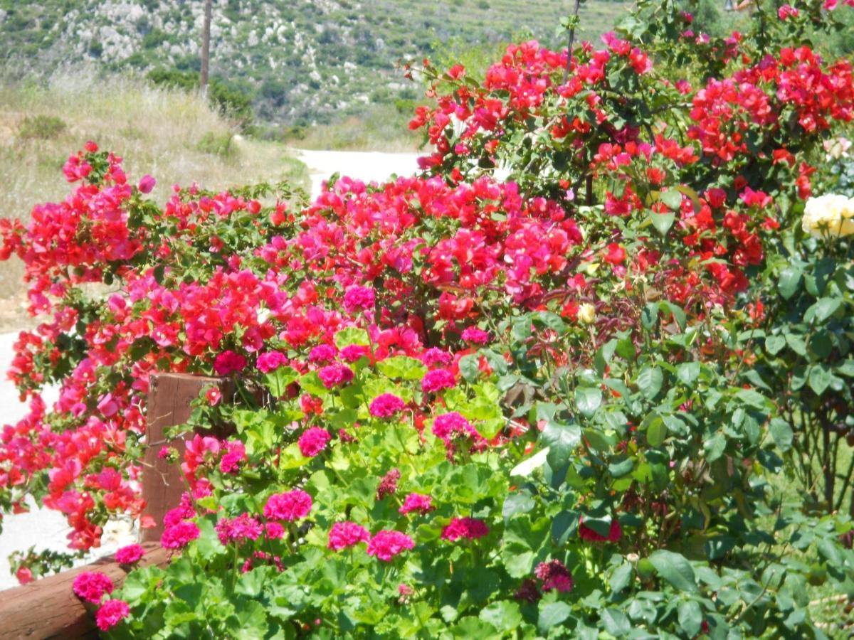 Livadaki Village Hotel Skala  Kültér fotó