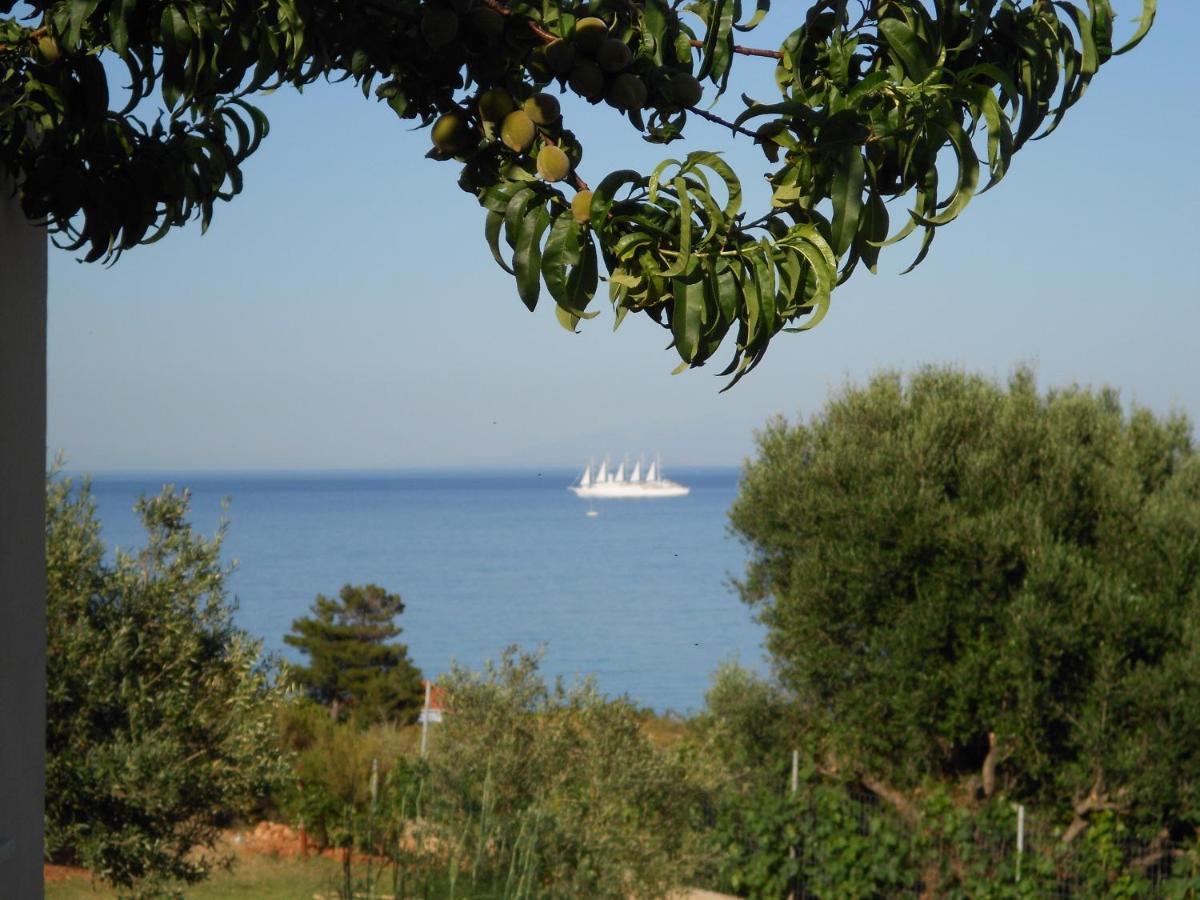 Livadaki Village Hotel Skala  Kültér fotó