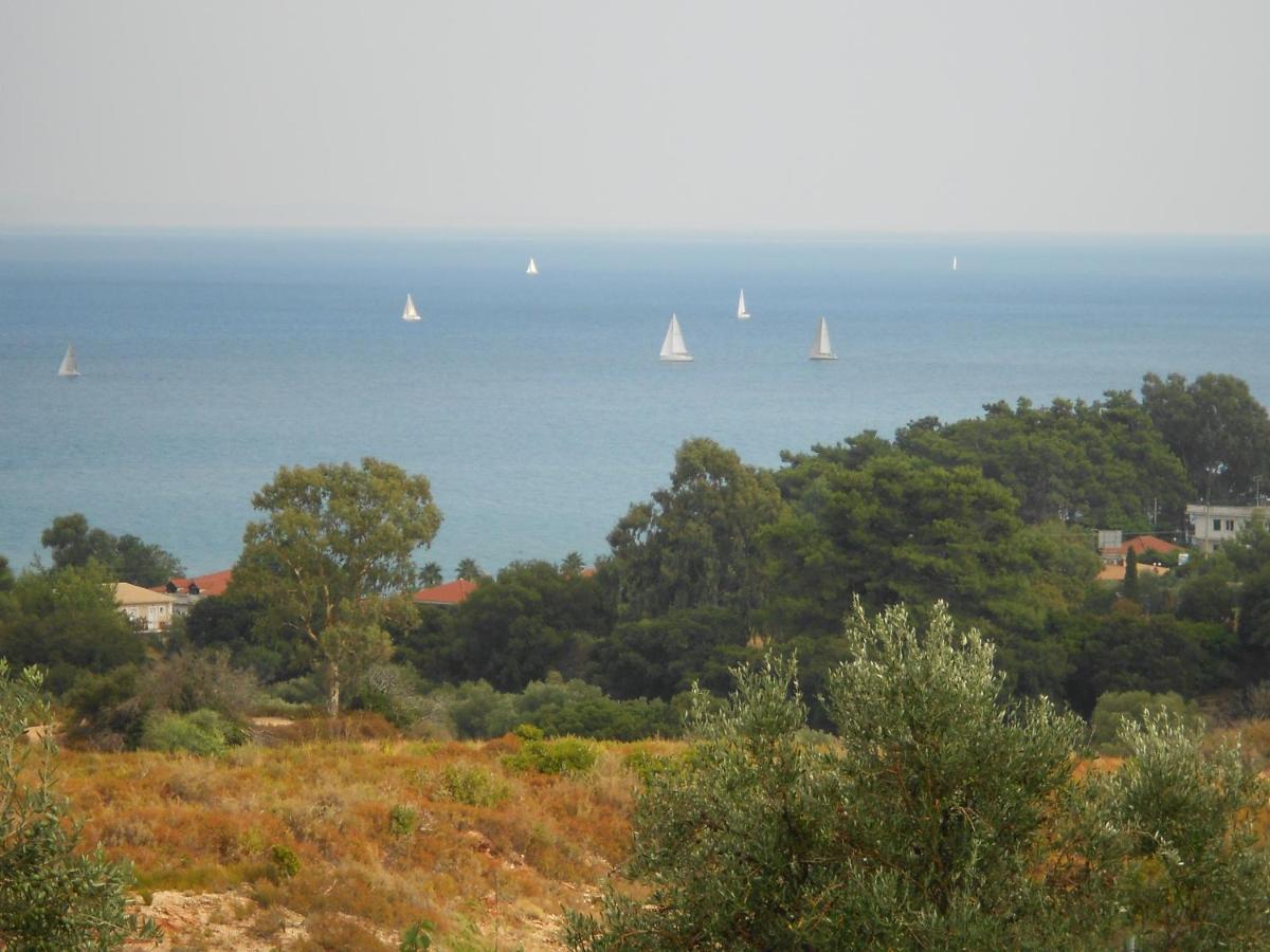 Livadaki Village Hotel Skala  Kültér fotó